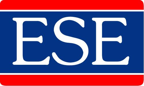 Shandong ESE Bearing Co. Ltd logo