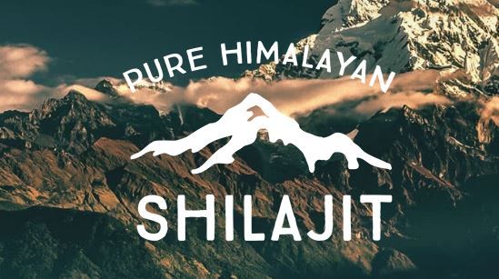 Pure Himalayan Shilajit logo