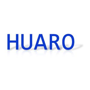 Huaruo (Shanghai) Industrial Co., Ltd. logo