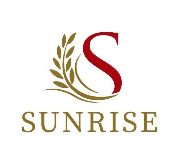 SUNRISE INS GROUP logo