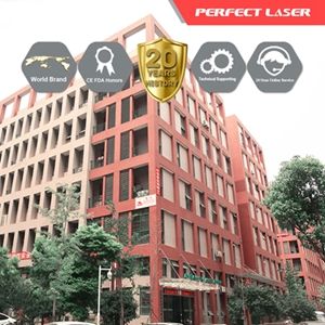 Perfect Laser (Wuhan) Co., Ltd. logo