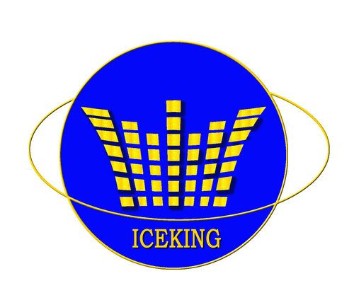 IceKing International Co.,Limited logo