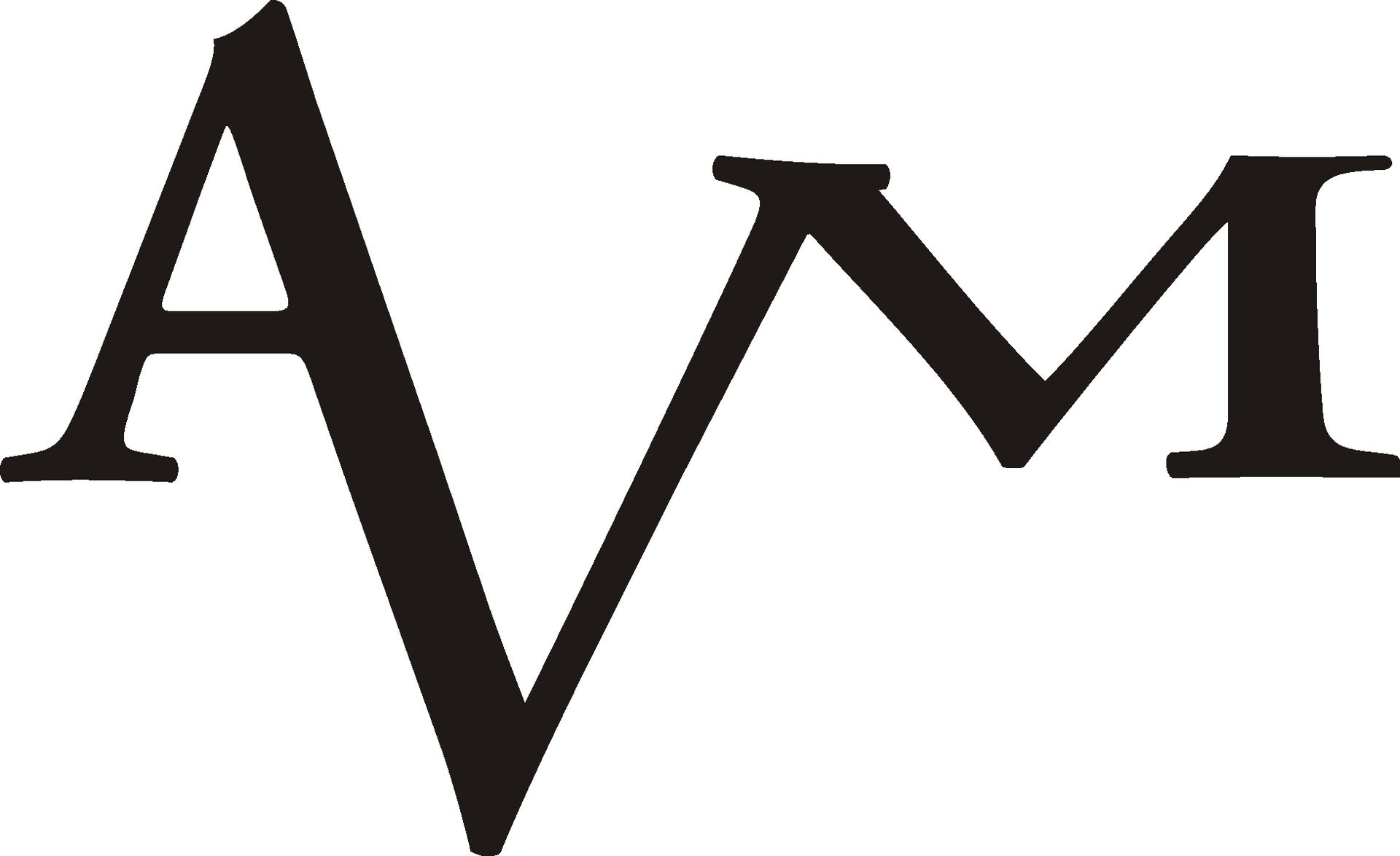 AVM Valves AS logo