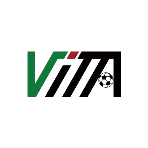 Vita Artificial Grass Industry Limited logo