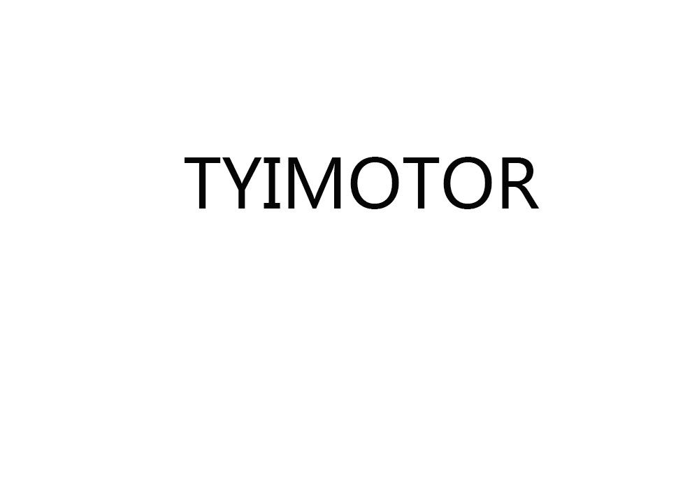 Xianning TYI Model Technology Co.,Ltd logo