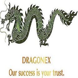 Dragonex logo