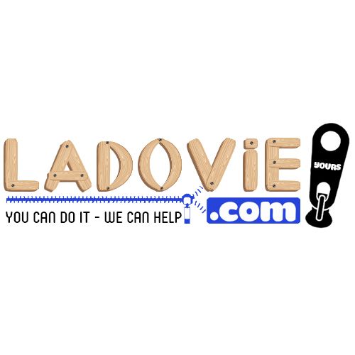 Ladovie Business Co., Ltd logo
