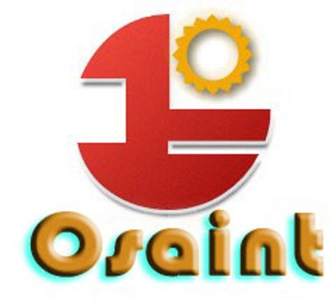 Shandong Osaint Group logo