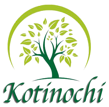 KOTINOCHI JSC logo
