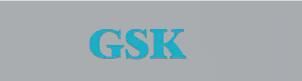 NingBo GSK Powder Metallurgy Co., Ltd. logo