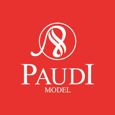 Guangzhou Paudi Model Technology Ltd. logo