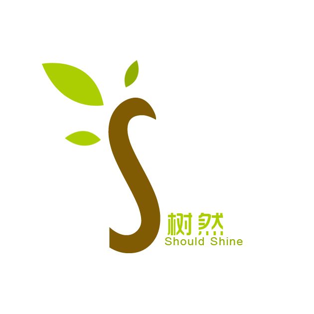 Jinan Should Shine Didactic Equipment Co., Ltd. logo