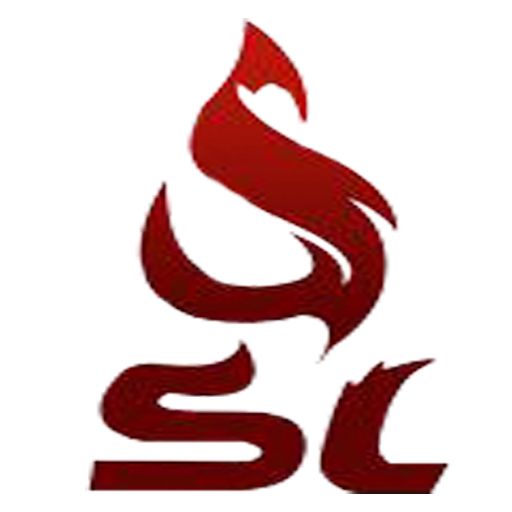 SHUANGLONG MACHINERY CO.,LIMITED logo