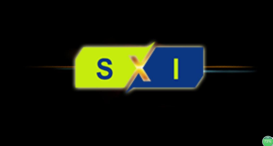 Song Xing Industry Co.,Ltd logo
