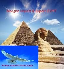 Morgan Import & Export.Egypt logo