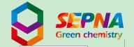 Shanghai Sepna Chemical Technology Co., Ltd. logo