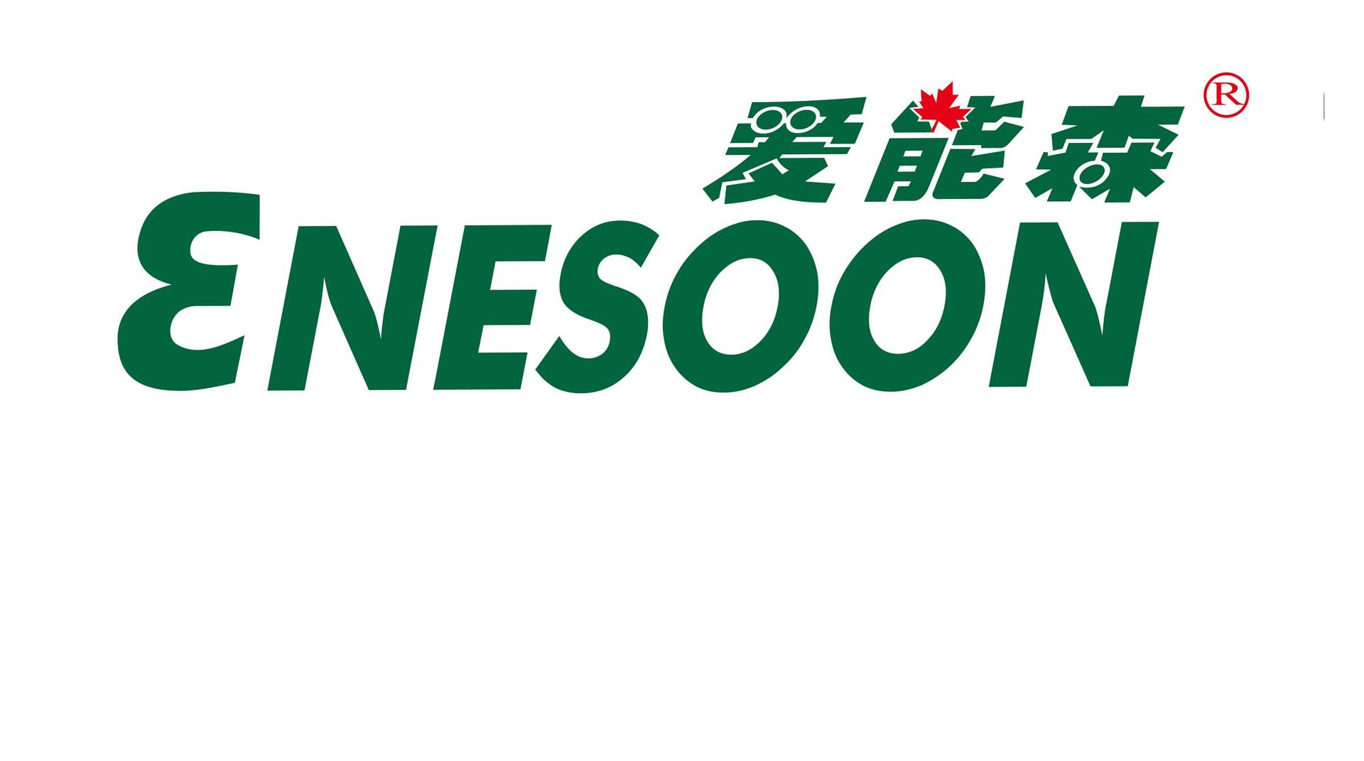 Enesoon(Shenzhen) High-end Intelligent Equipment Co., Ltd logo