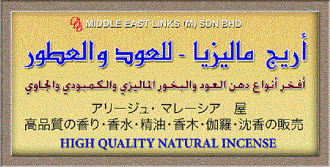 Middle East Links Co. Ltd. logo