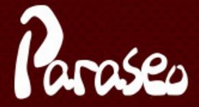 Paraseo Company logo