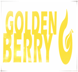 Beijing Golden Berry Hoisting Machinery Group logo