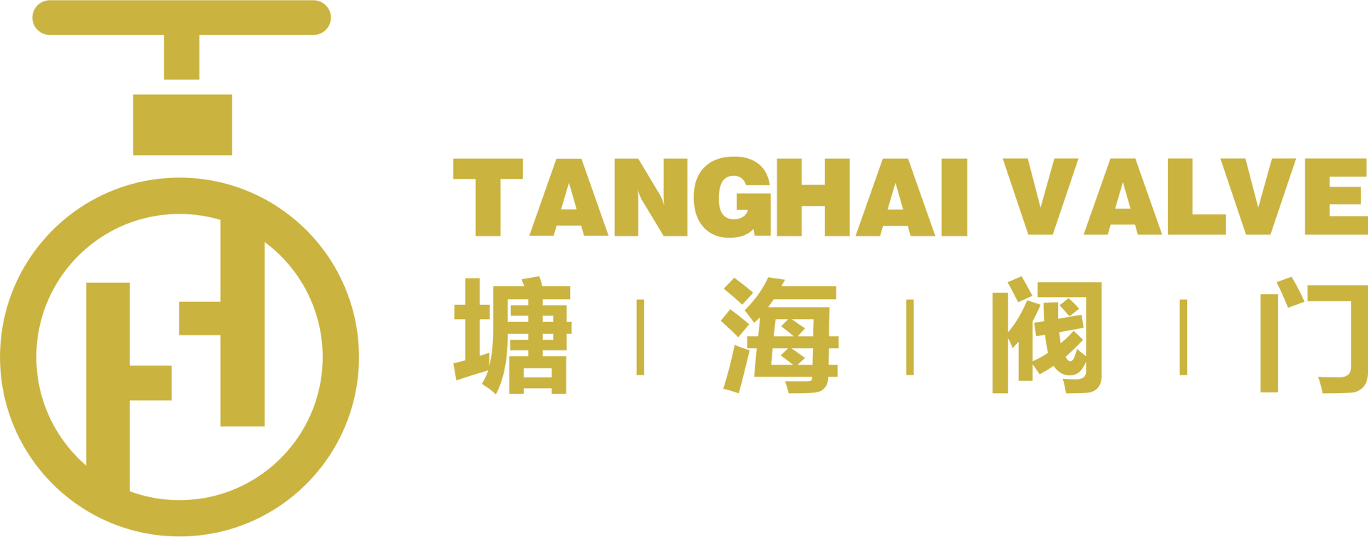Tianjin Tanghai Valve Manufacturing Co., Ltd logo