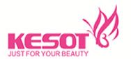Kesot Electronic Equipment Co., Ltd. logo