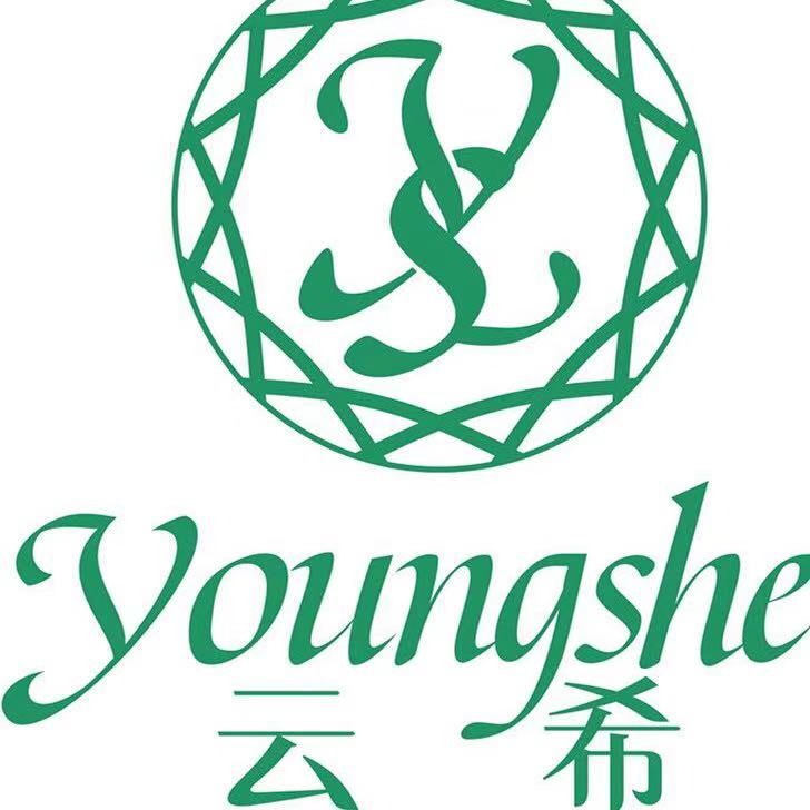 Chengdu Youngshe Chemical Co., Ltd. logo