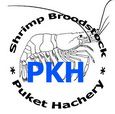 PK International Group logo