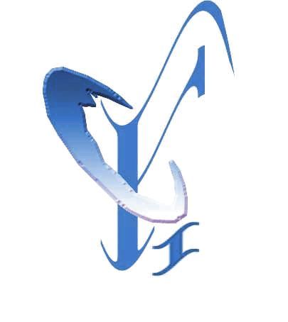 Fuchun Industry Development Co.,Ltd logo