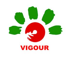 Vigour Industrial (Group) Limited logo