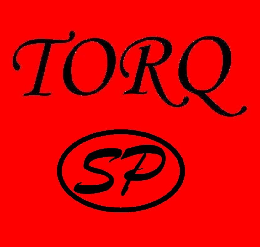 TORQ ELECTRON Co.,Ltd. logo