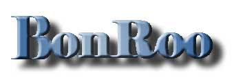 Bonrun Technology Co.Ltd logo