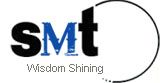 Wisdom Shining Electronic Technology (China) Limited logo