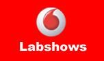 Labshows Co.,Ltd logo