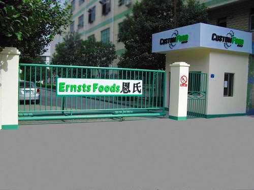 Ernstsfoods(shenzhen)Co.,Ltd logo