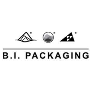 ZHEJIANG B.I. INDUSTRIAL CO., LTD. logo