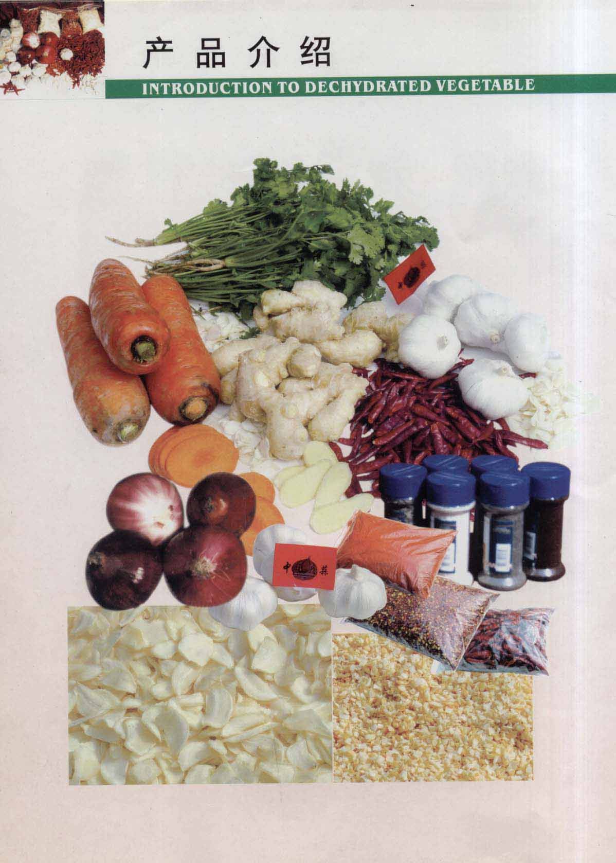 Vegetables, Tools, Textile - Jining Chengsheng Trade Co., Ltd.