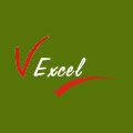 Vxl Drugs And Pharmaceuticals Pvt. Ltd. logo