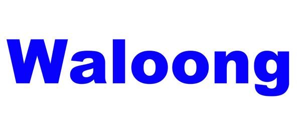 Waloong Electric Instruments Co.,Ltd logo