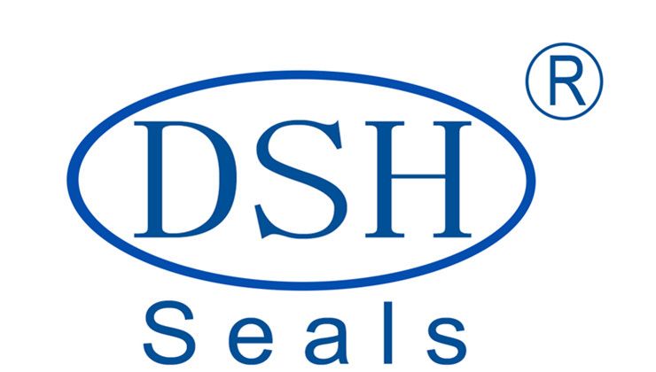 Guangdong DSH Seals Technology Co.,Ltd logo