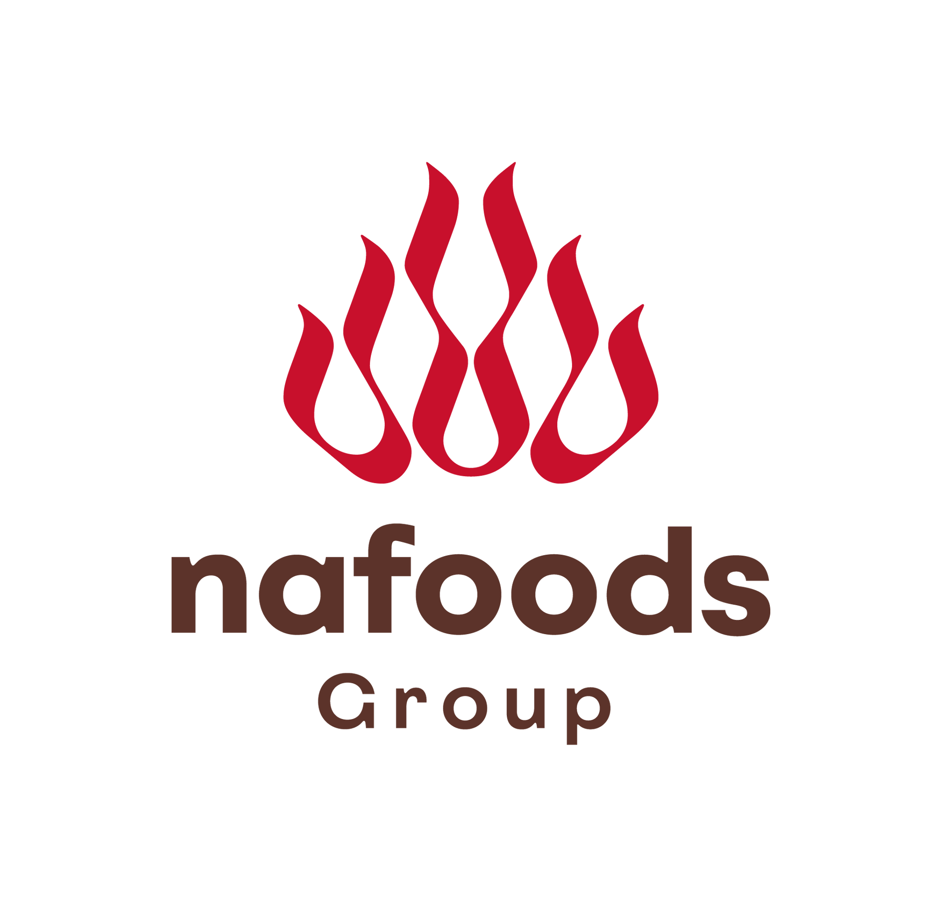 Nafoods Group JSC logo