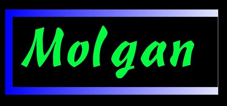 Molgan Technology  Inc Ltd logo