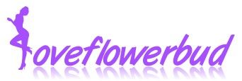 Shenzhen Flower Bud Sex Toys Factory logo