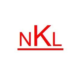 NEW KALI EPS INDUSTRIAL CO.,LTD logo
