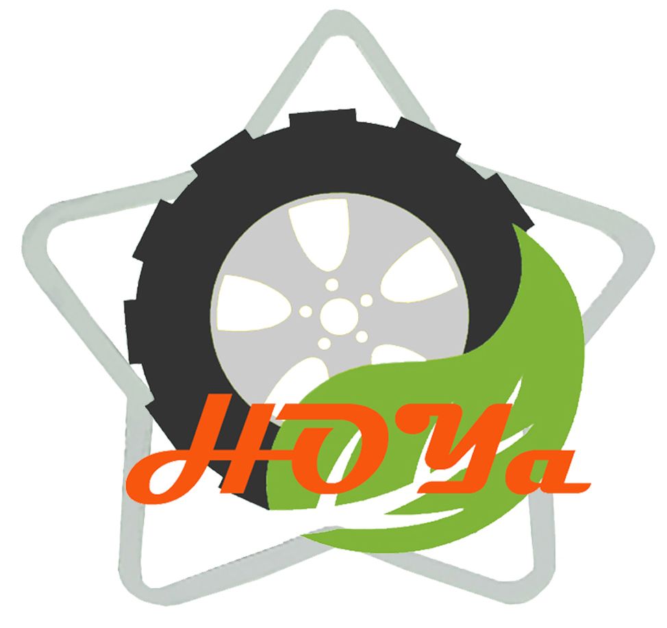 HOYA STAR INTERNATIONAL LIMITED logo