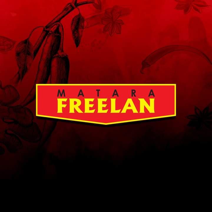 Freelan Enterprises (Pvt) Ltd logo