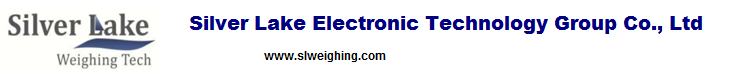 Silver Lake Eelectronic Technology Group Co.,Ltd logo