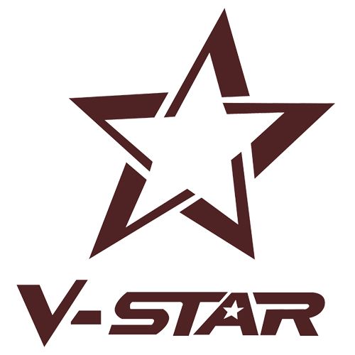 Fuzhou V-Star Homedecor Co.,Ltd. logo