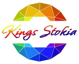 Wuhan Kings Stokia Technology Co.,LTD logo