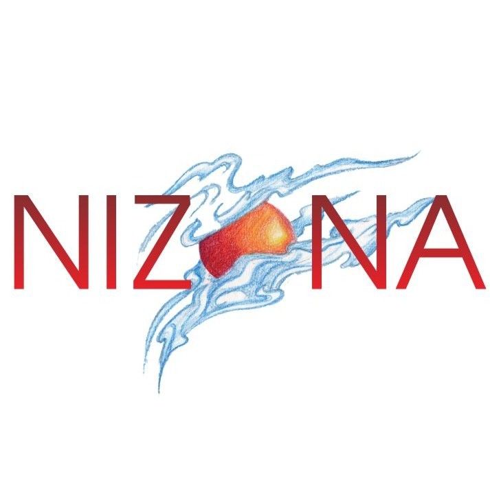Nizona Corporation, Japan logo